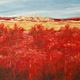 Red Field