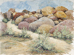&ldquo;Desert Rocks&rdquo; Oil 18"x24"